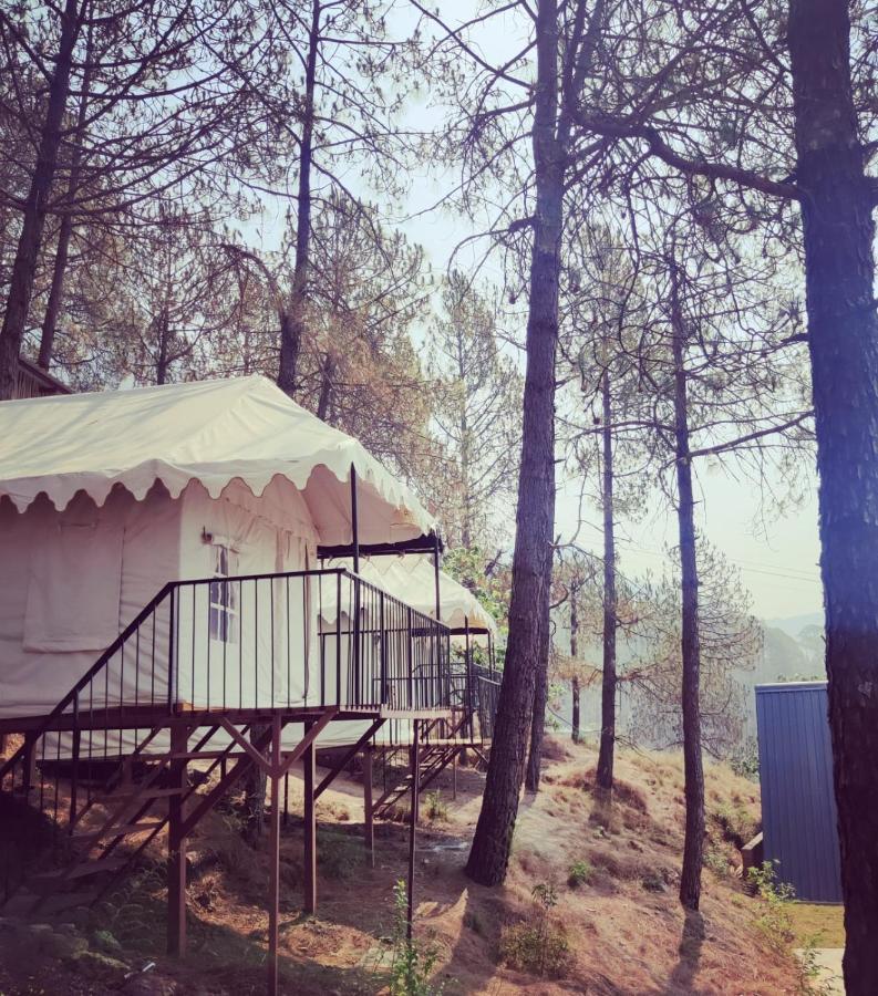 Paradise Pool Resort By Beyond Stay ناينيتال المظهر الخارجي الصورة